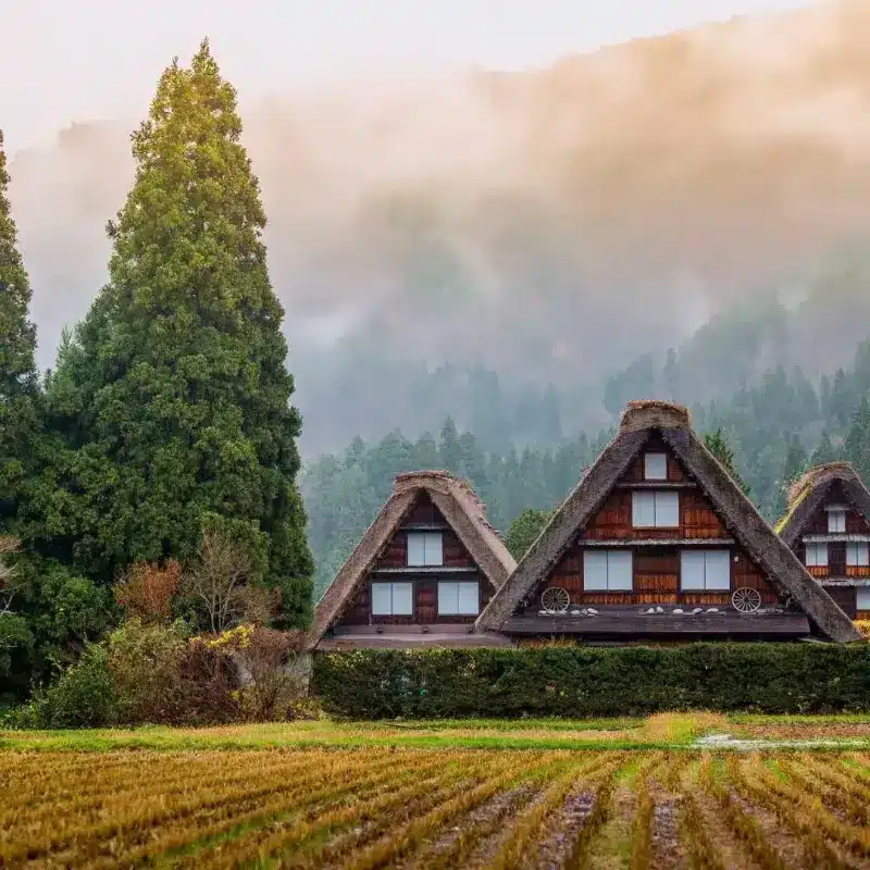 japon viajes culturales