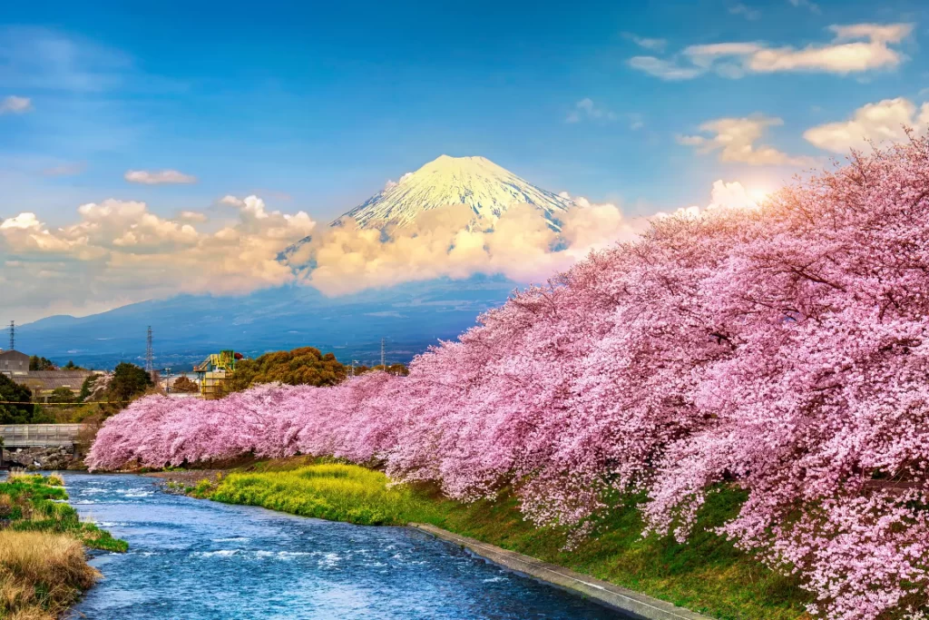 monte fuji 2